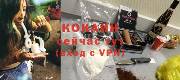 твердый Мегион