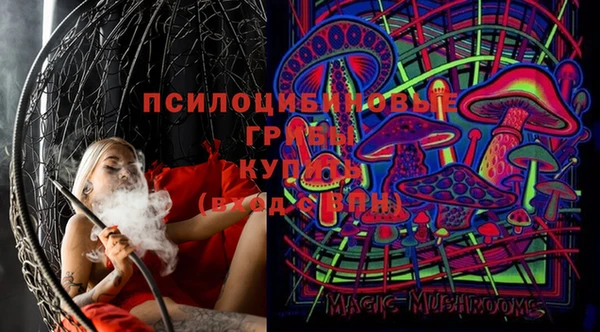 твердый Мегион